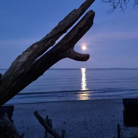 Apartmán Traumhaftes In Exklusiver Lage - Odins Blick 16 - Privatstrand, Gartenanlage, Sauna